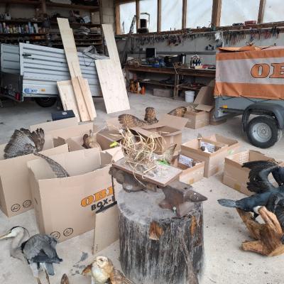 03 Img 20251130 Wa0013