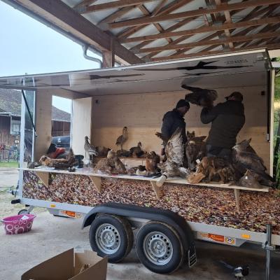 05 Img 20251130 Wa0015