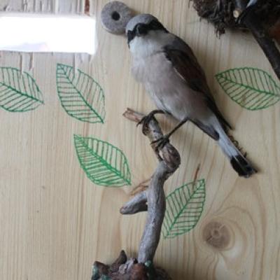 54 25 Rotruckenwurger