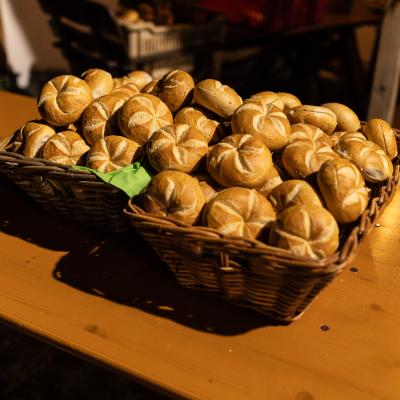 Fotomomente Melaniebecker2025 9121