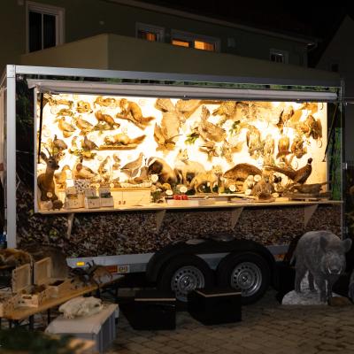 Fotomomente Melaniebecker2025 9221