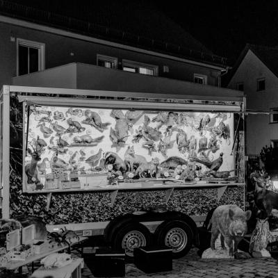 Fotomomente Melaniebecker2025 9233