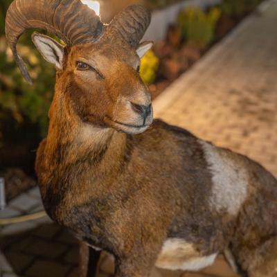 Fotomomente Melaniebecker2025 9394