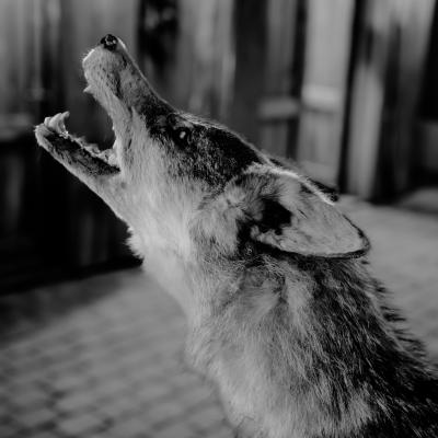 Fotomomente Melaniebecker2025 9395 2