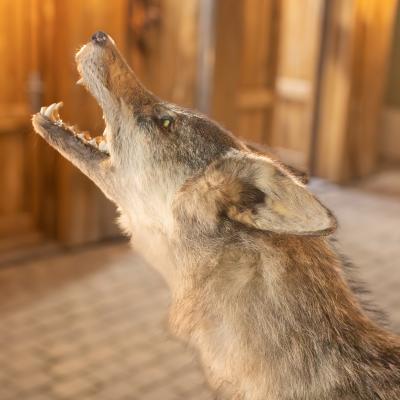 Fotomomente Melaniebecker2025 9395