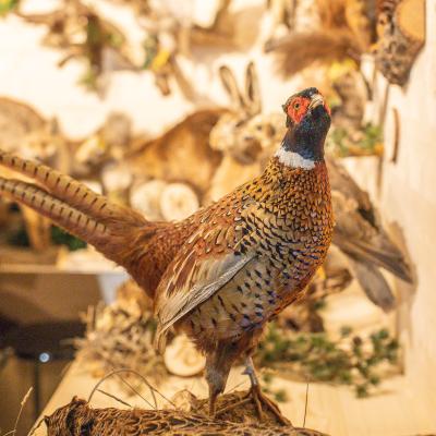 Fotomomente Melaniebecker2025 9398