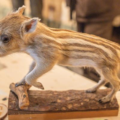 Fotomomente Melaniebecker2025 9400