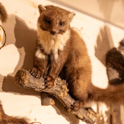 Fotomomente Melaniebecker2025 9402