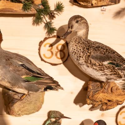 Fotomomente Melaniebecker2025 9404