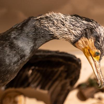 Fotomomente Melaniebecker2025 9406