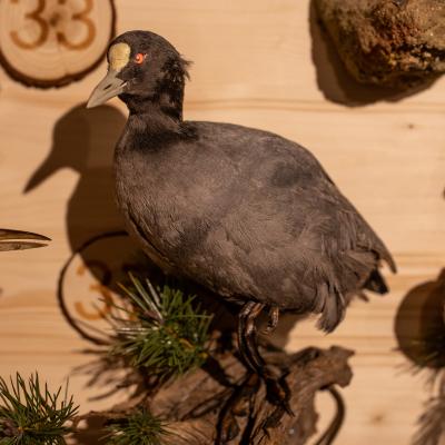 Fotomomente Melaniebecker2025 9407