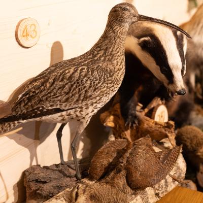 Fotomomente Melaniebecker2025 9409