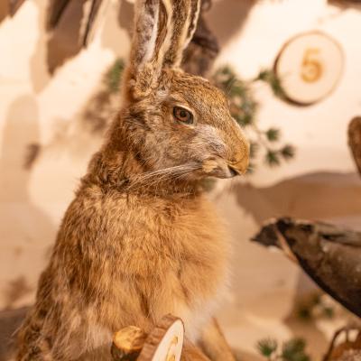 Fotomomente Melaniebecker2025 9410