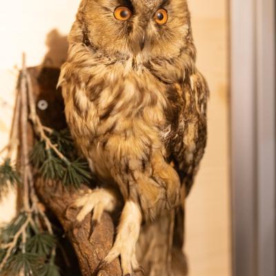 Fotomomente Melaniebecker2025 9412