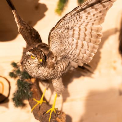 Fotomomente Melaniebecker2025 9414