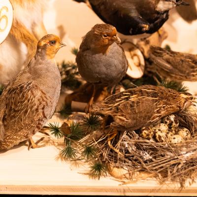 Fotomomente Melaniebecker2025 9415