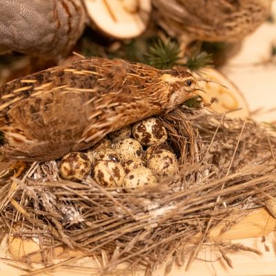 Fotomomente Melaniebecker2025 9416