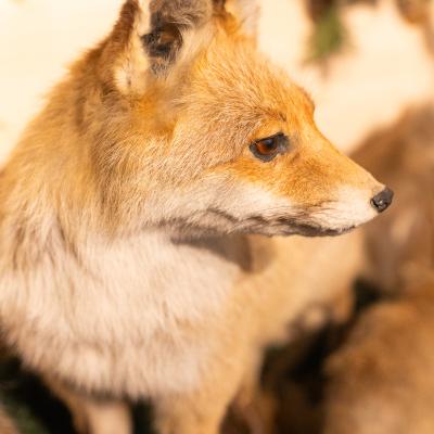 Fotomomente Melaniebecker2025 9418