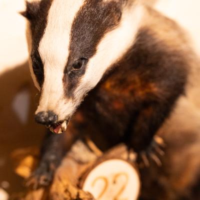 Fotomomente Melaniebecker2025 9419