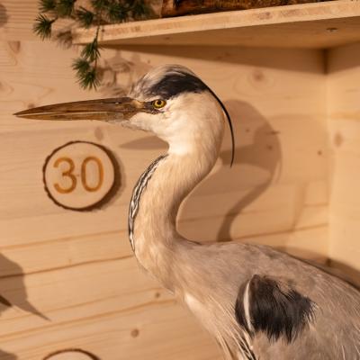 Fotomomente Melaniebecker2025 9420