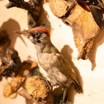 Fotomomente Melaniebecker2025 9421