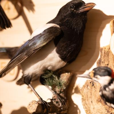 Fotomomente Melaniebecker2025 9422