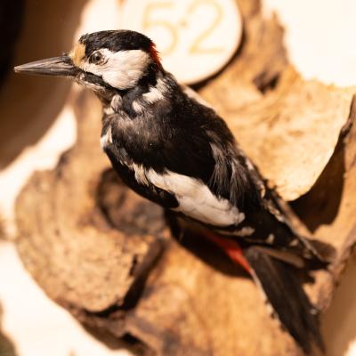 Fotomomente Melaniebecker2025 9424