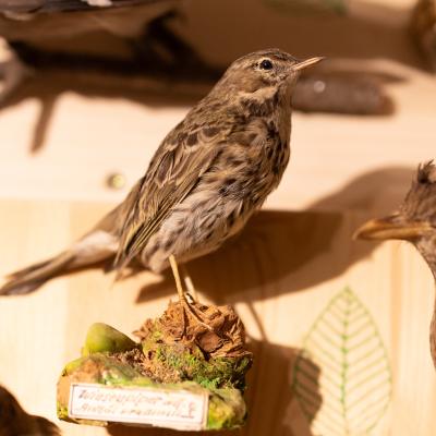 Fotomomente Melaniebecker2025 9427