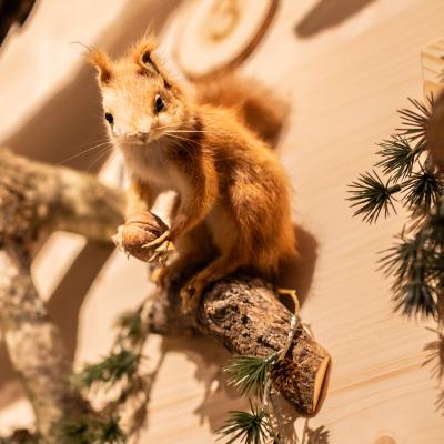 Fotomomente Melaniebecker2025 9428