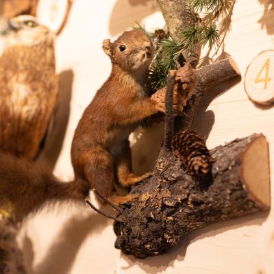 Fotomomente Melaniebecker2025 9429