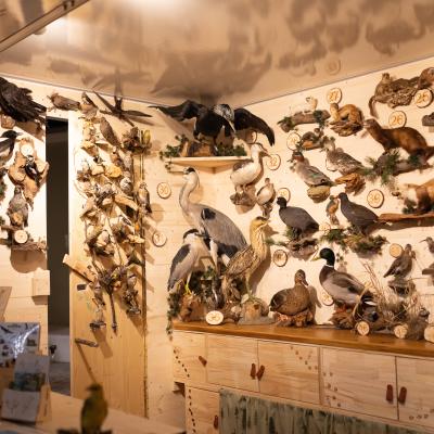 Fotomomente Melaniebecker2025 9430