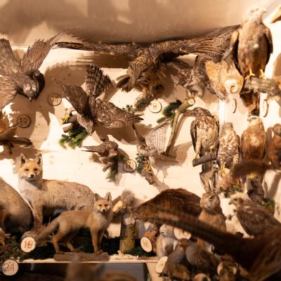 Fotomomente Melaniebecker2025 9431